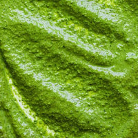 Extracto de Albahaca Santa